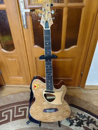 Гитара Ibanez Talman TCM50-NT