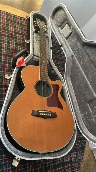 Акустическая гитара Tanglewood TW45 NSE (с чехлом