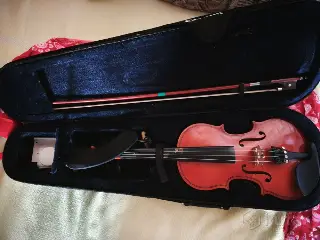 Скрипка 1/2