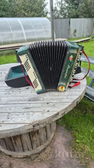 баян