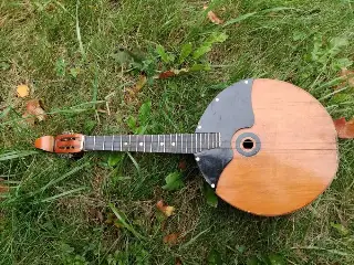 Домра