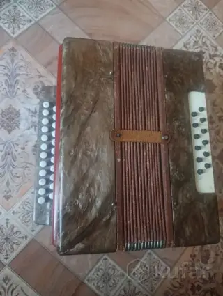 Гармонь Кубань
