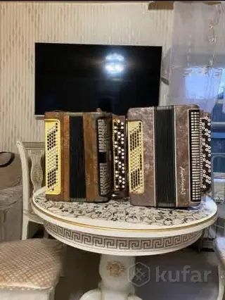 Баяны