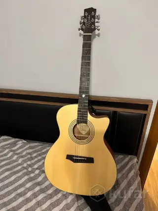 Гитара электроакустическая Randon RGI-04CE + чехол