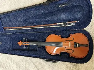 Скрипка 1/4 массив Cervini