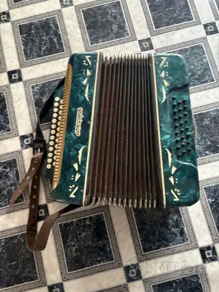Баян Беларусь