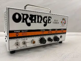 Orange tiny terror