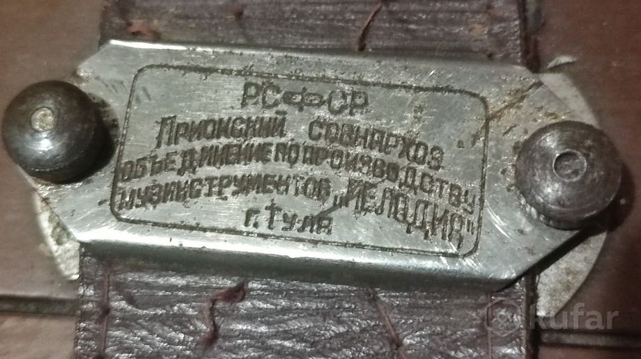 Баян Тульский — фото 6