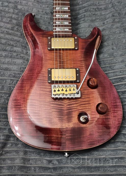 Мастеровая гитара от L.Z.Custom Guitars — фото 3