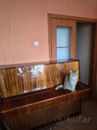Пианино Беларусь