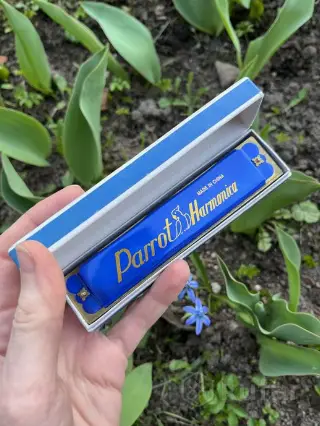 Губная гармошка винтажная harmonica parrot