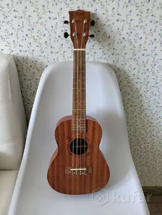 Укулеле концерт Флайт
