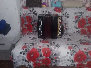баян