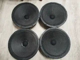 Динамики 12'' дюймов