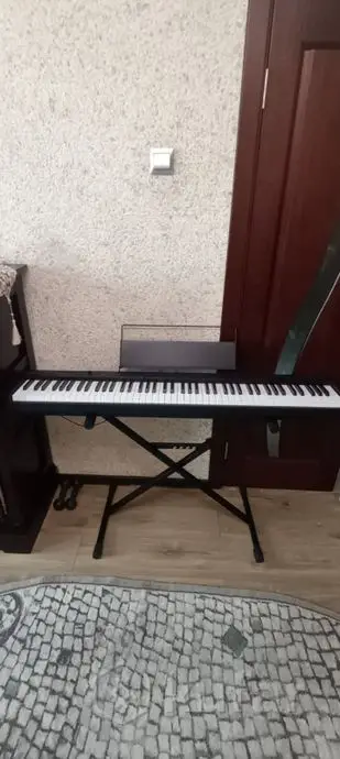 Цифровое пианино Casio cdp-s100