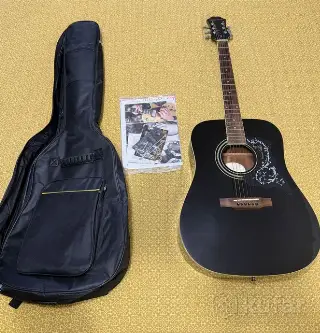 Гитара Epiphone DR - 100 EB