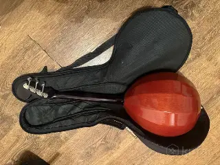 Домра