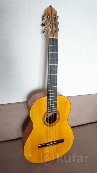 Гитара полностью из массива All Solid