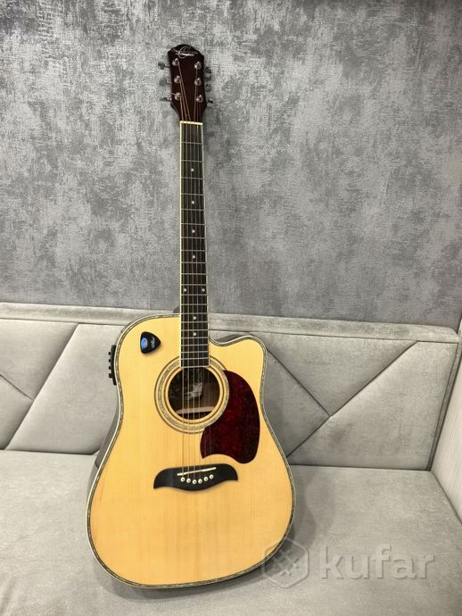 Электроакустика Washburn — фото 1
