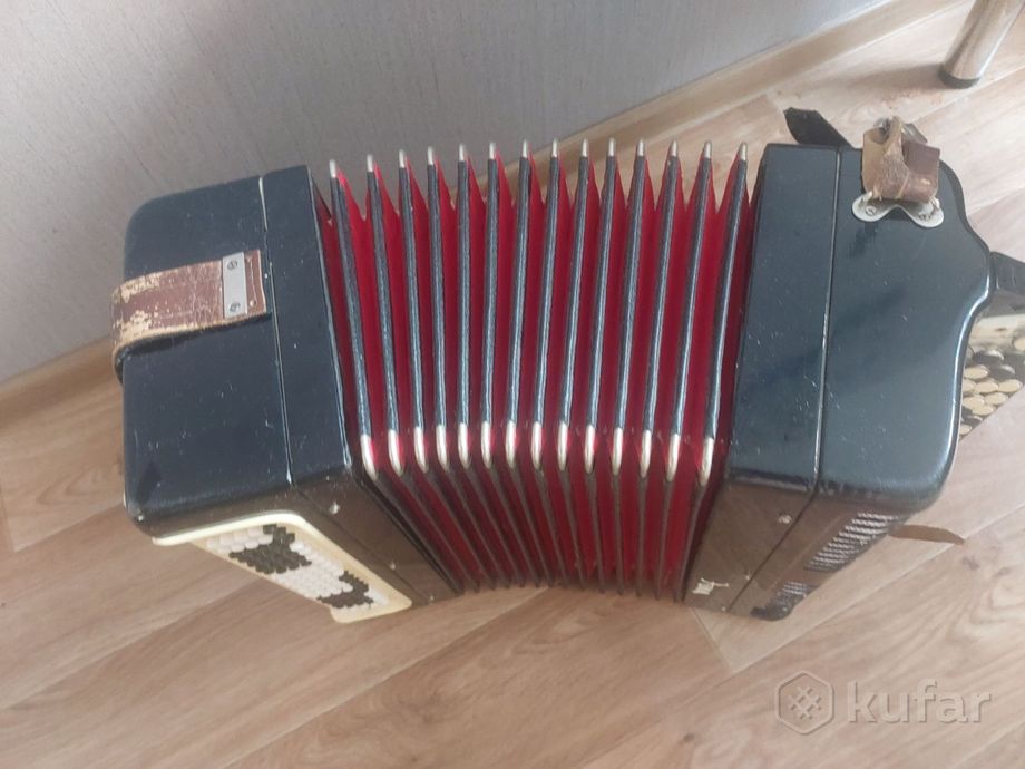 Баян — фото 5