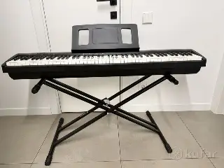 Цифровое пианино Roland FP10
