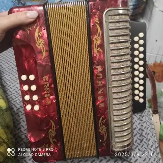 Диатонические аккордеон Hohner
