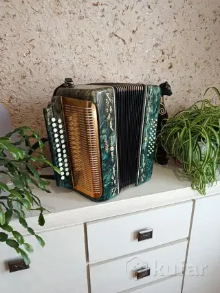 гармонь гармошка баян