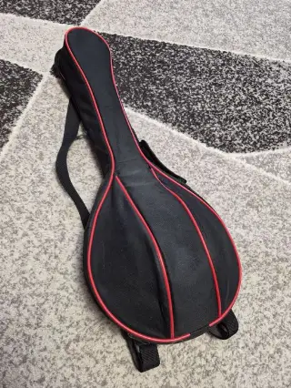Домра