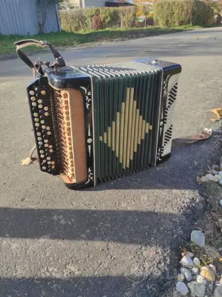 баян