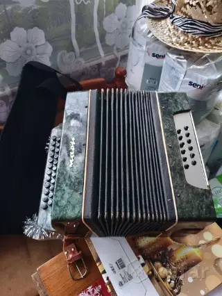 гармонь Маричка