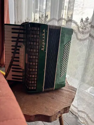 Аккордеон Березка