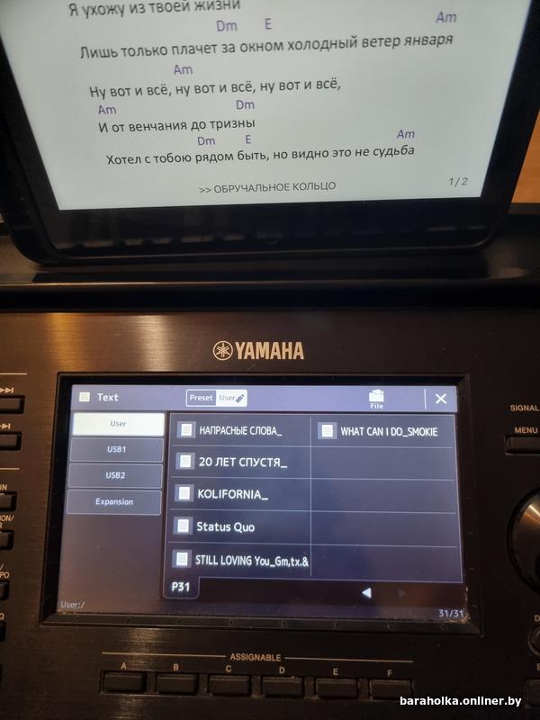 Продам стили YAMAHA PSR S, SX проф. — фото 1