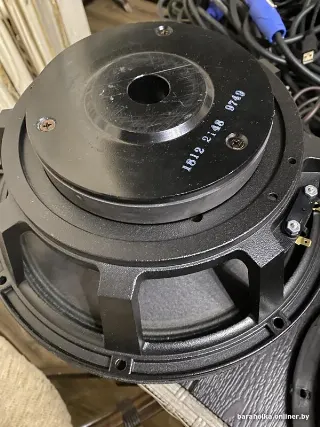 Динамики EV 12 ‘’т.+375296786449